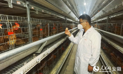 <b>安徽向前丨六安霍邱：智创合做 集群进沪</b>