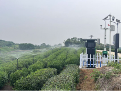 江西柴桑：科技赋能 茶园鸡场果园齐“智”变